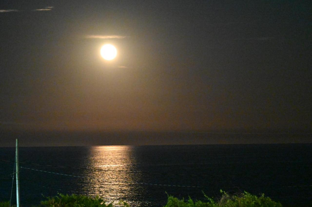 Nauset Beach Inn ออร์ลีนส์ ภายนอก รูปภาพ